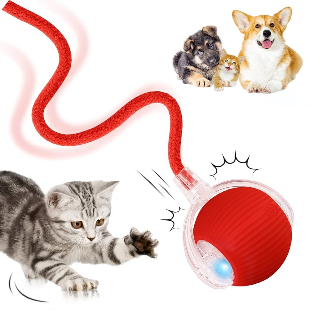 Interactive Cat Ball Toy